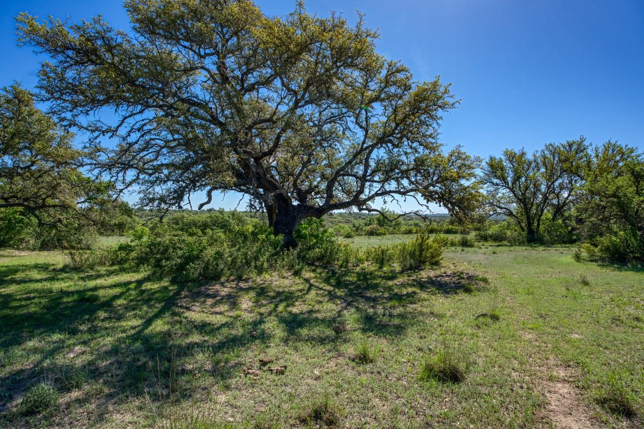 Image 9 of 40 For 2347 Mtn Pasture Ranch Rd