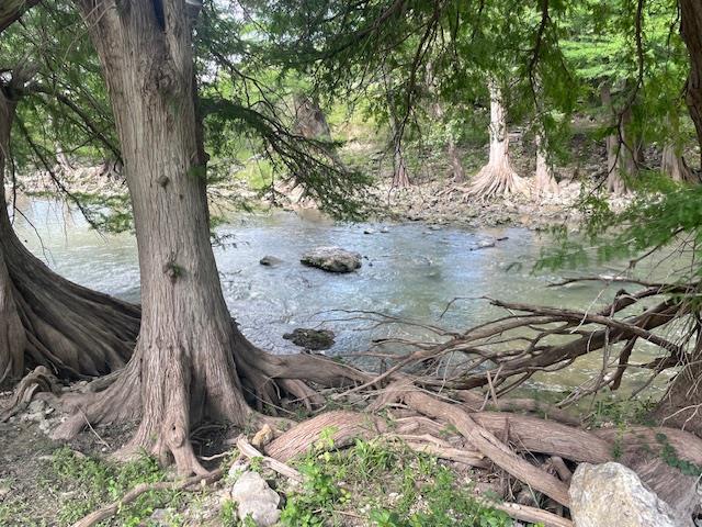 Image 3 of 10 For Lot 248 & 247 River Forest Dr