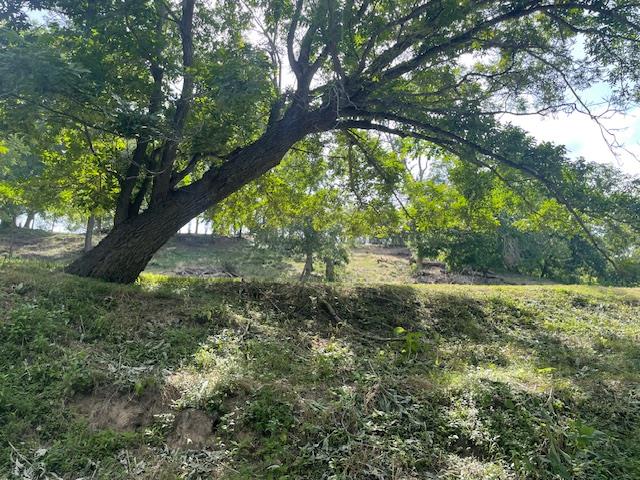 Image 4 of 10 For Lot 248 & 247 River Forest Dr