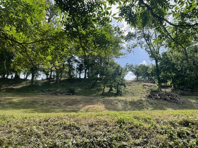 Image 6 of 10 For Lot 248 & 247 River Forest Dr