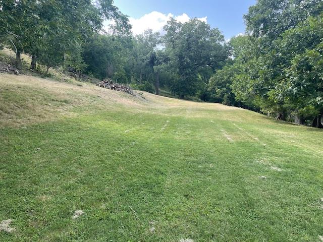 Image 8 of 10 For Lot 248 & 247 River Forest Dr