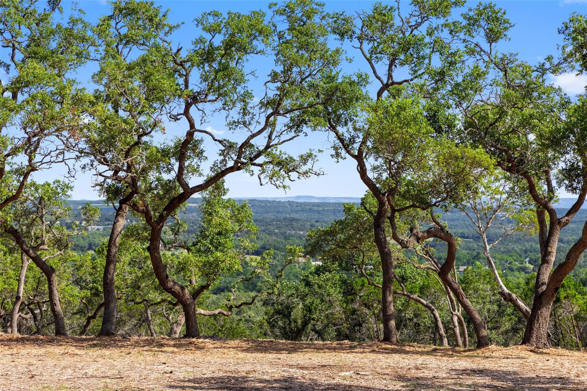 Image 10 of 15 For 9475 Fm 32, Lot 8