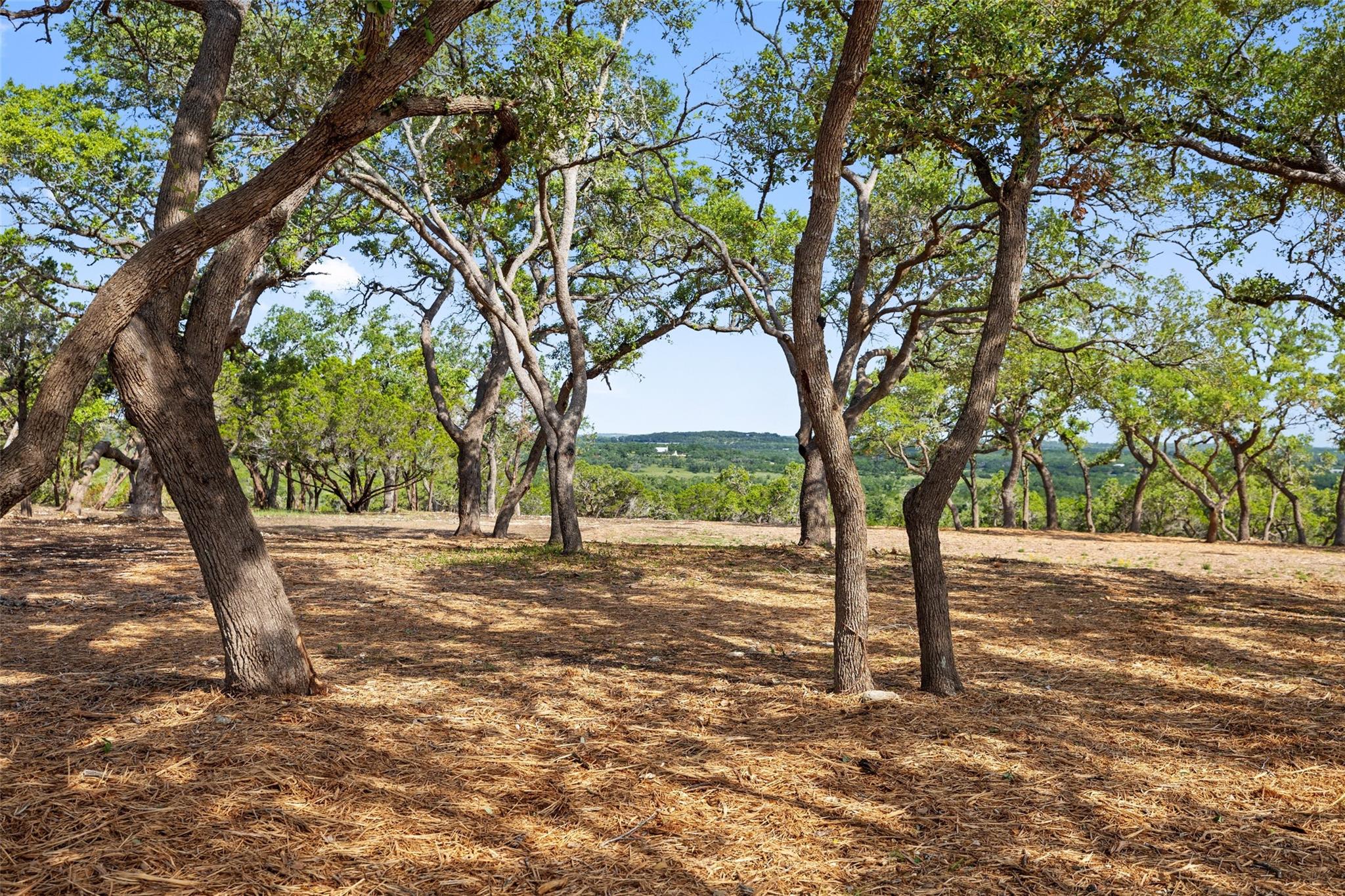 Image 9 of 15 For 9475 Fm 32, Lot 8