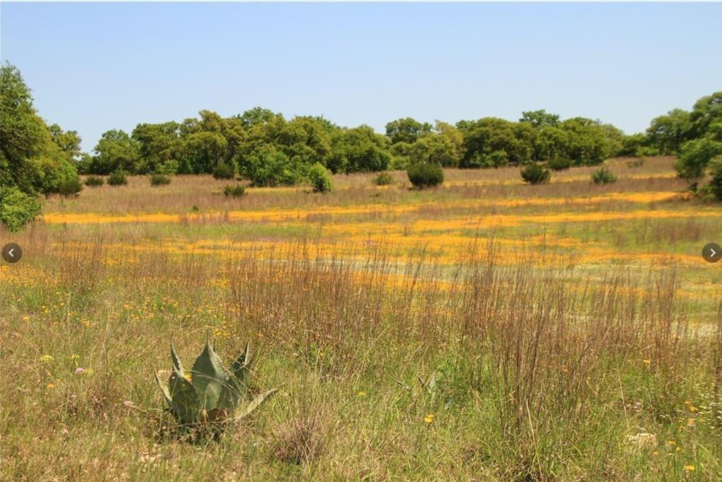 Image 14 of 23 For 920 Crosswind Dr