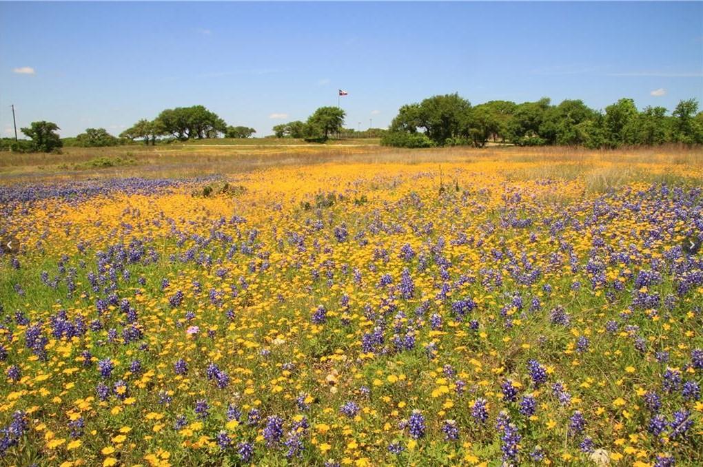 Image 16 of 23 For 920 Crosswind Dr