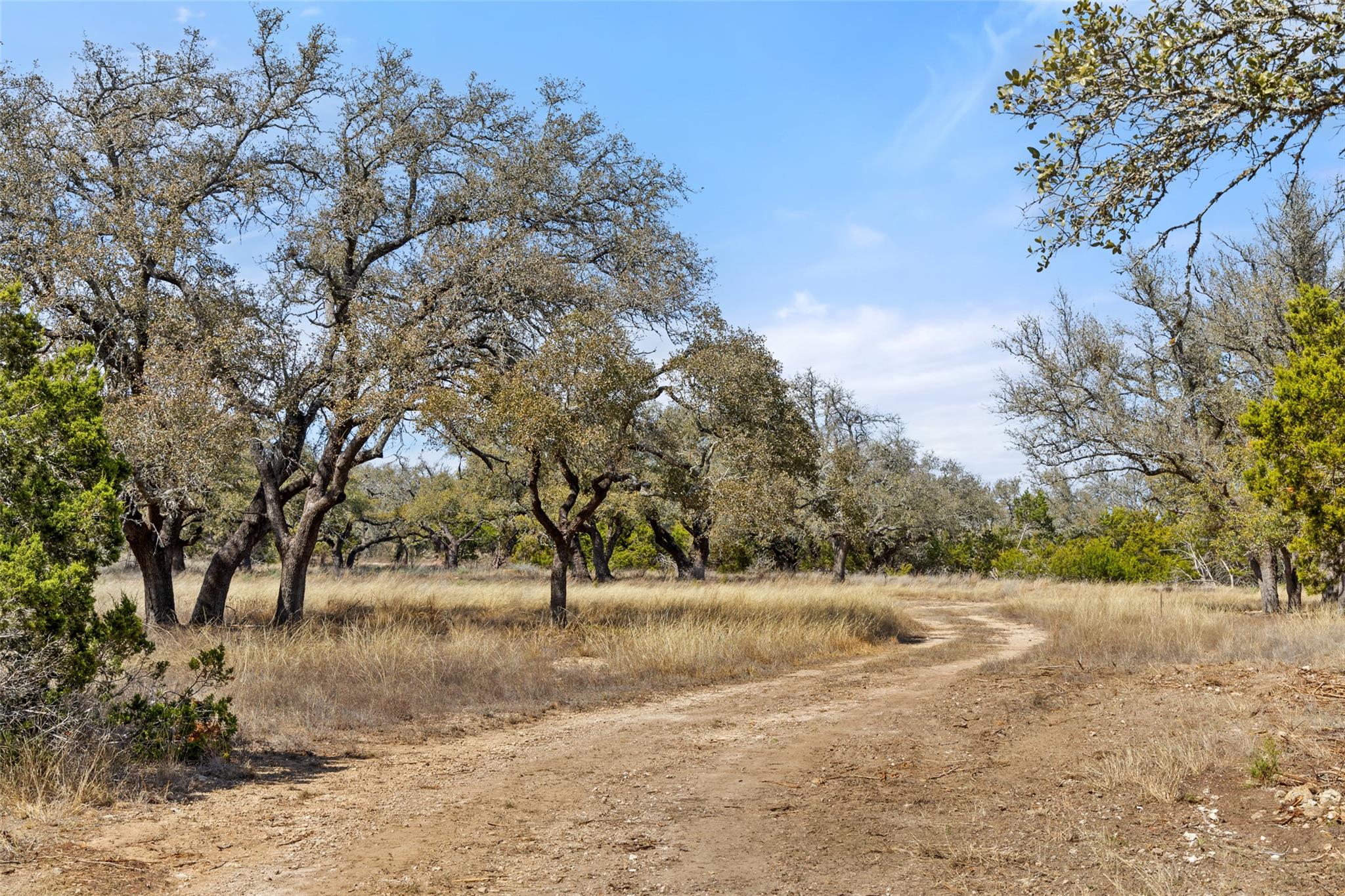 Image 11 of 12 For 535 Becker Road