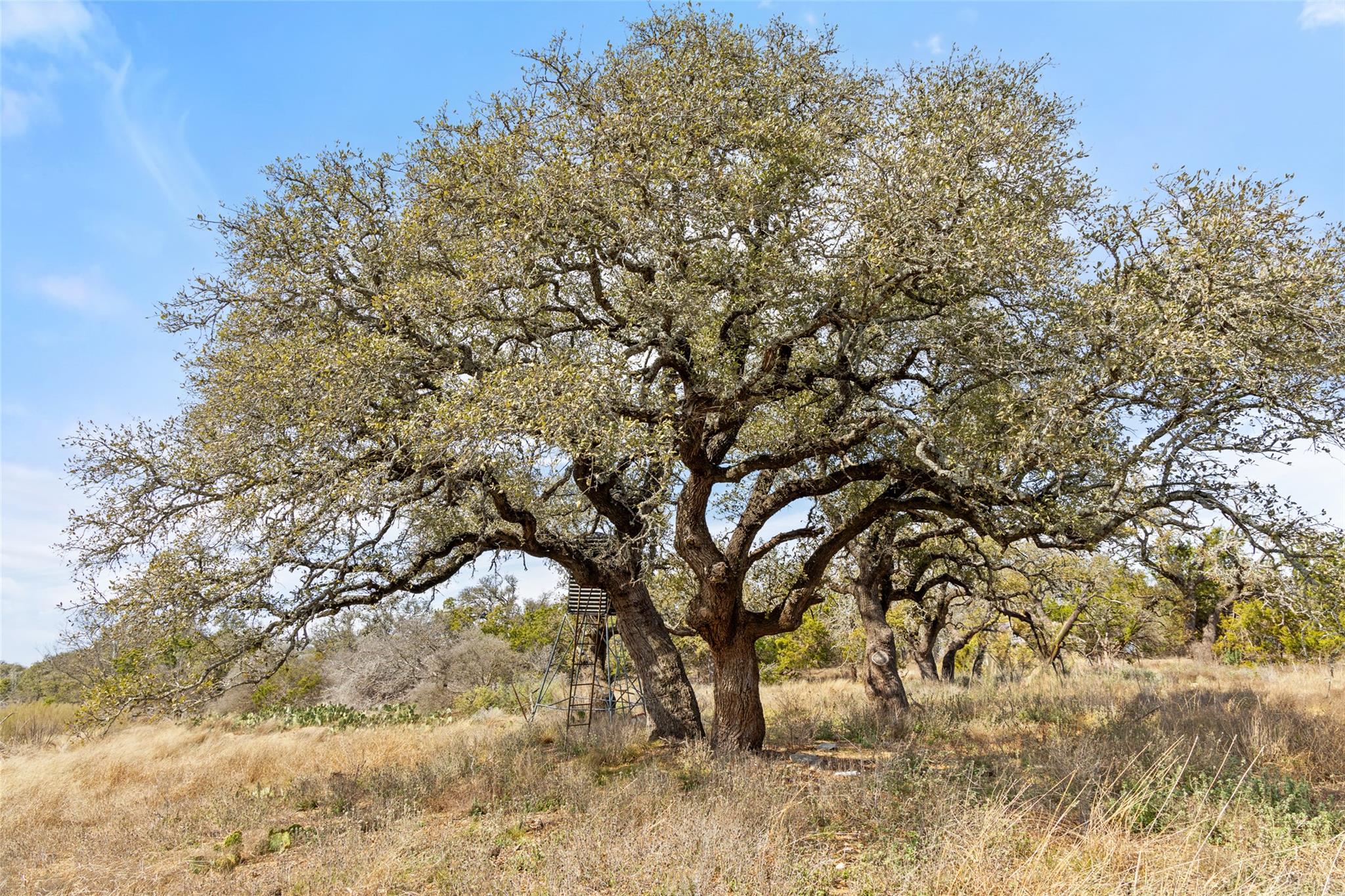 Image 12 of 12 For 535 Becker Road