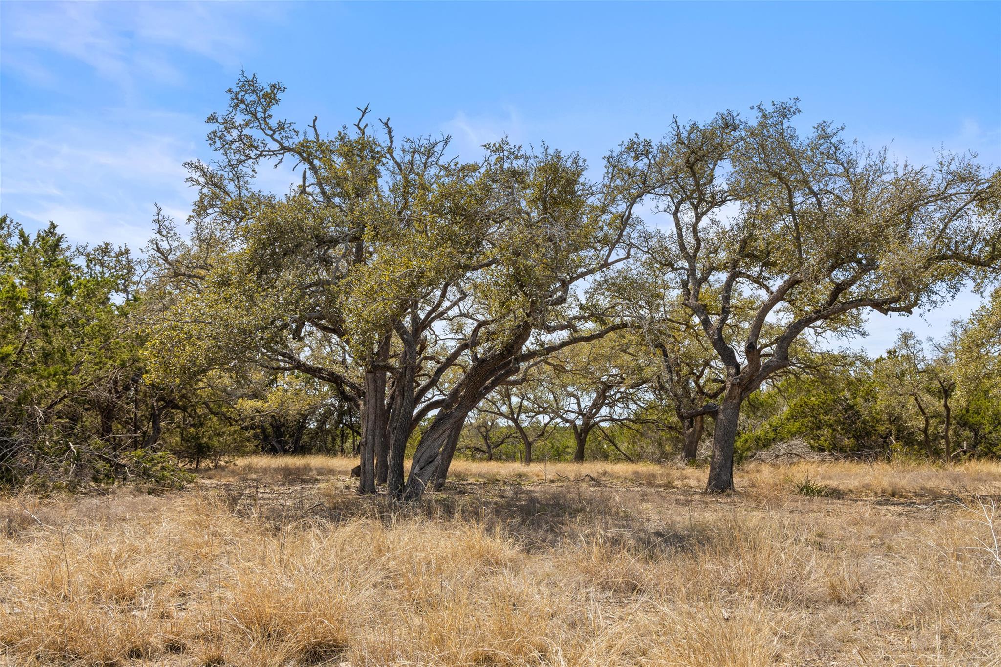 Image 9 of 12 For 535 Becker Road