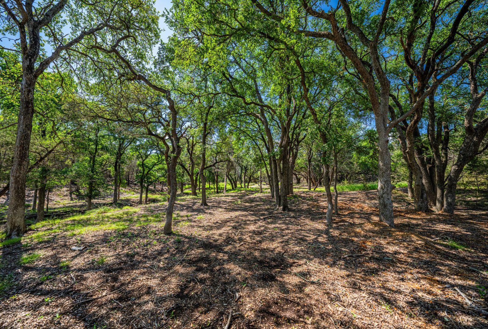 Image 32 of 39 For 0000 Gibson-best Rd