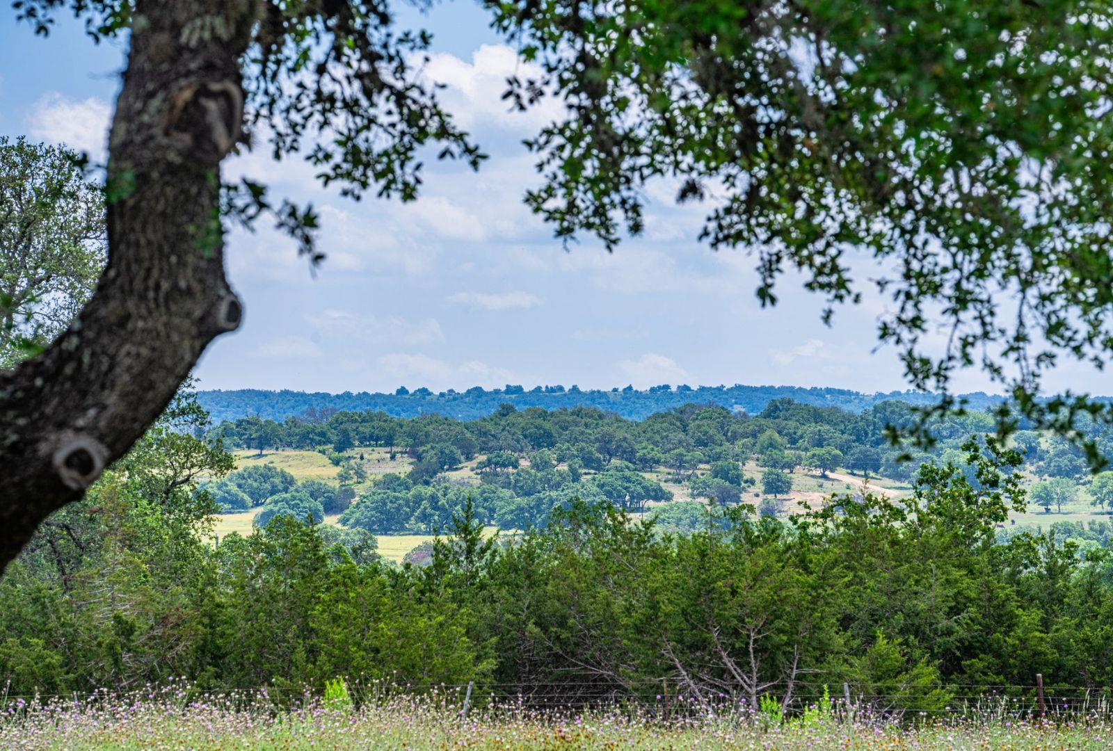 Image 37 of 39 For 0000 Gibson-best Rd