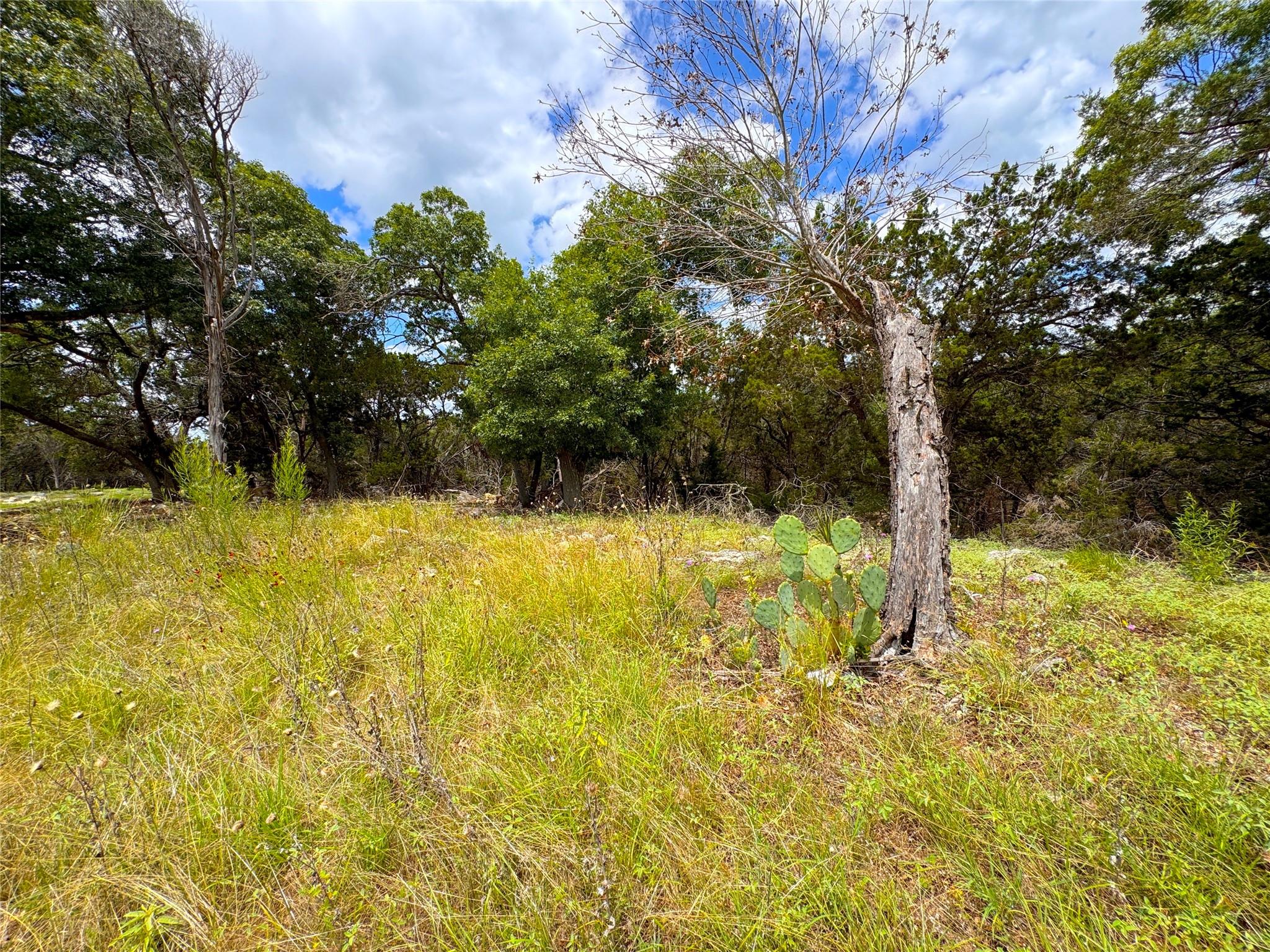 Image 11 of 17 For 714 Caballo Trl