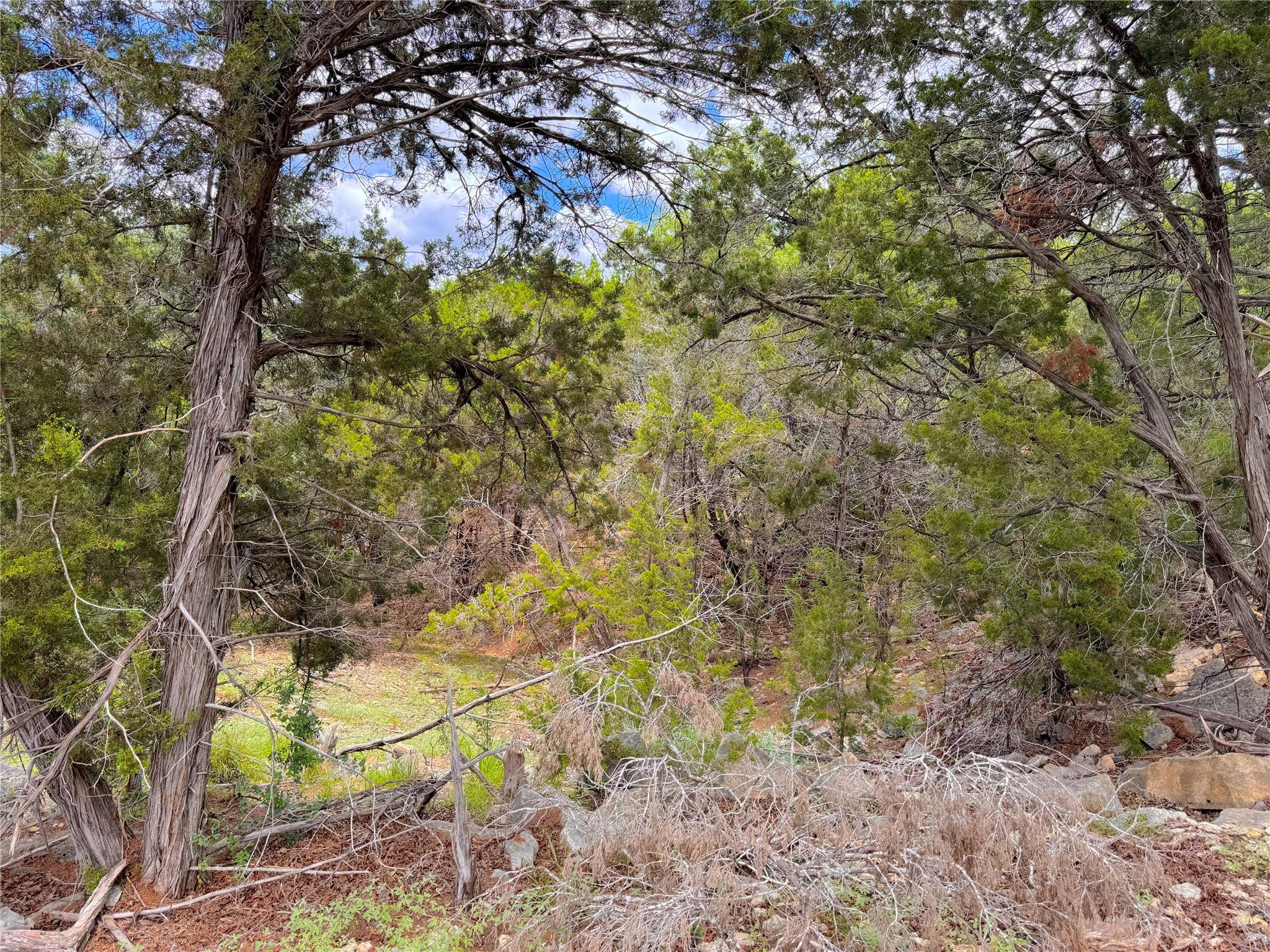 Image 6 of 17 For 714 Caballo Trl