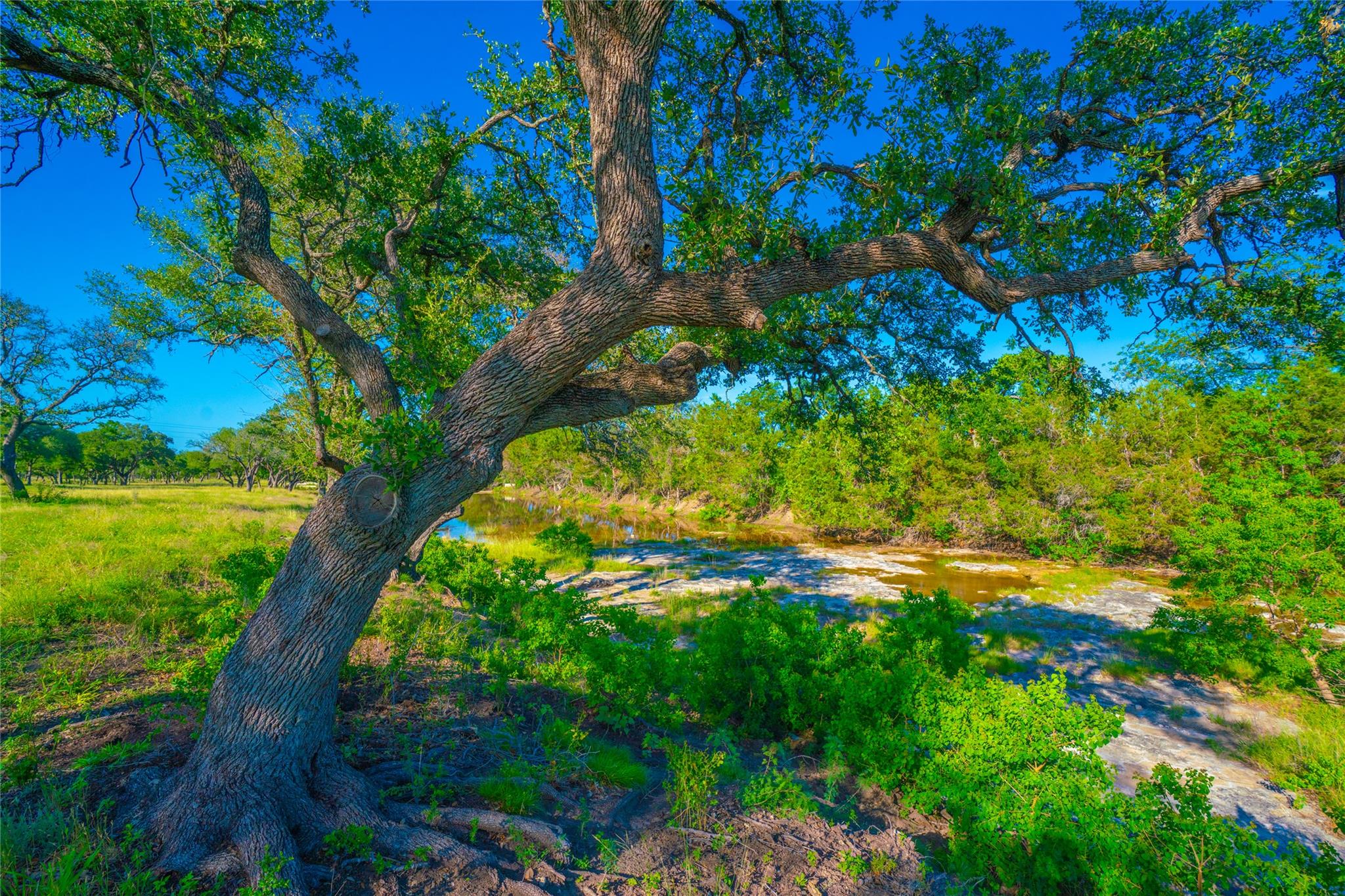 Image 7 of 17 For 000 Rocky Creek Rnch