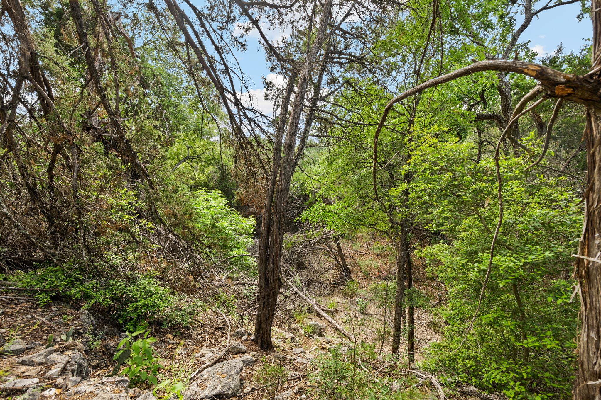 Image 2 of 13 For 1977 Pinotage