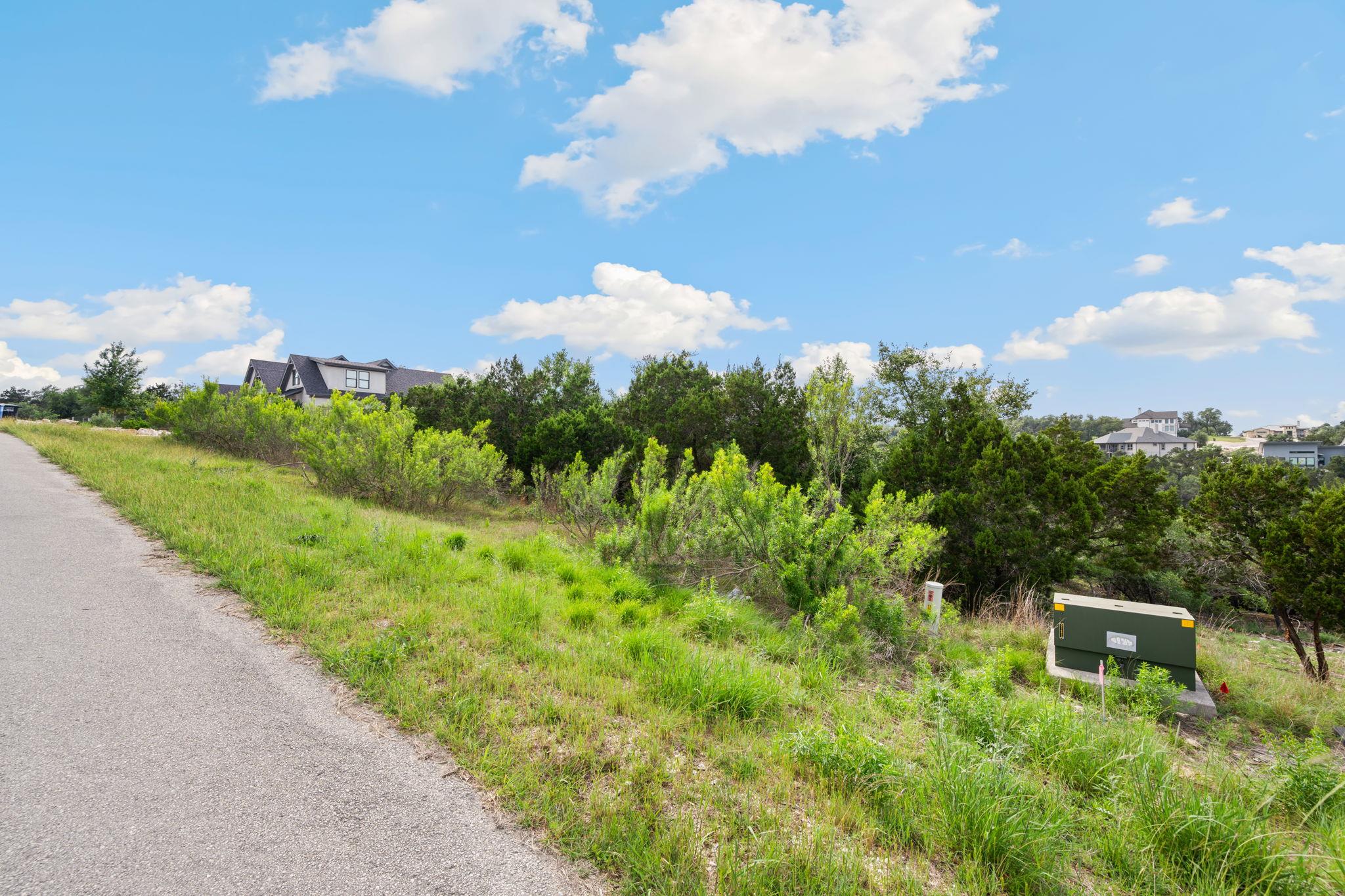 Image 7 of 13 For 1977 Pinotage