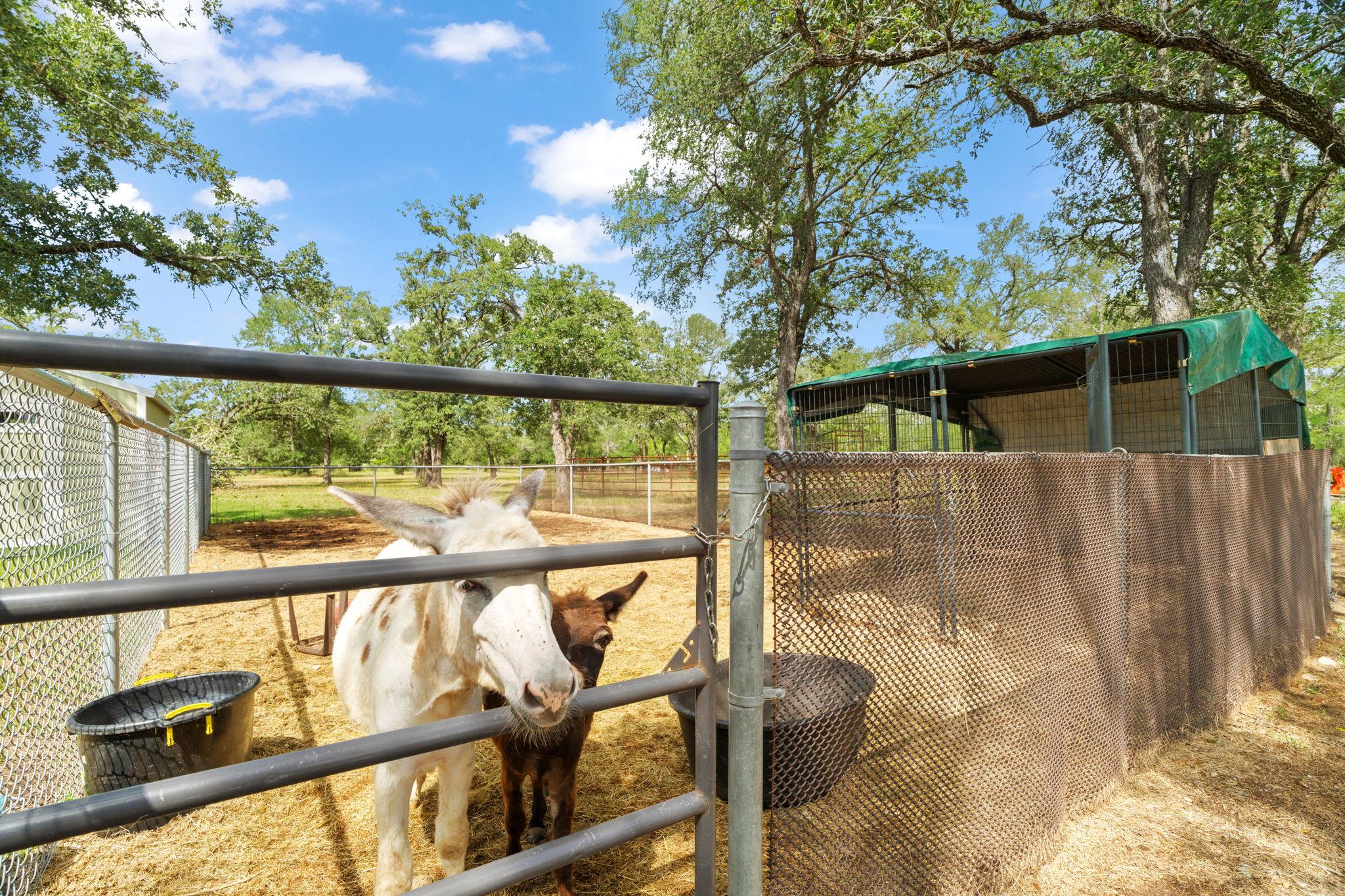 Image 36 of 40 For 3434 Prairie Lea Rd