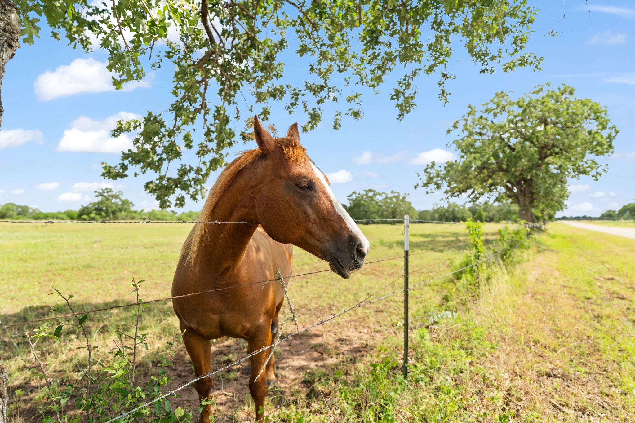 Image 40 of 40 For 3434 Prairie Lea Rd