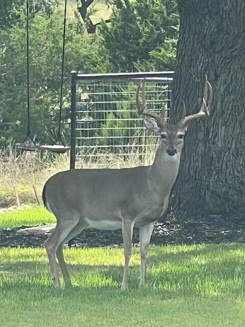 Image 39 of 39 For 505 John Price St