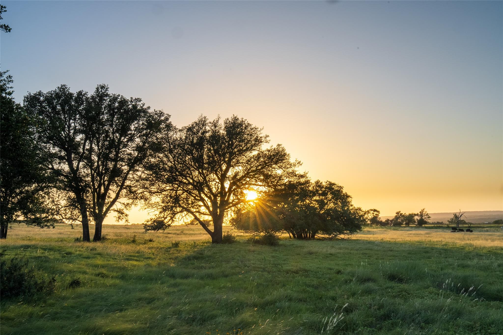 Image 14 of 39 For Tbd 125 Hye Albert Rd