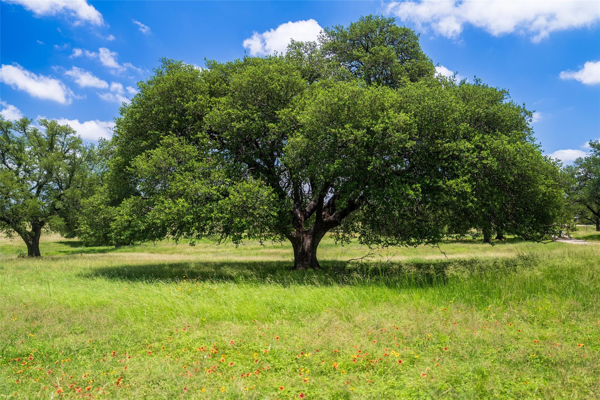 Image 33 of 39 For Tbd 125 Hye Albert Rd