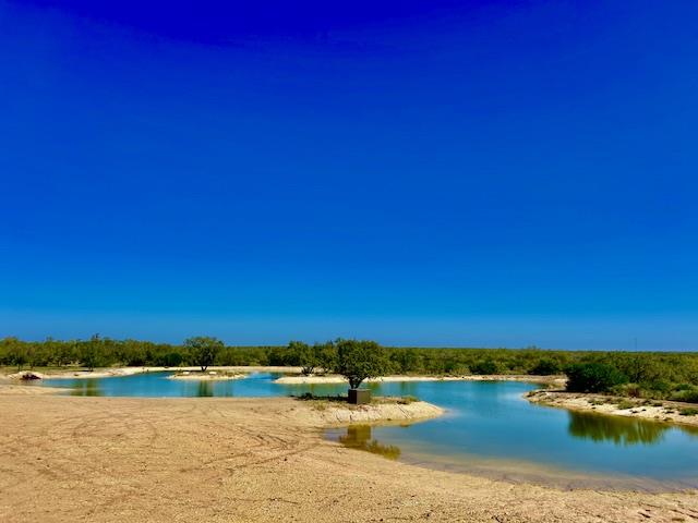 Details for 0 I35-access Highway, Pearsall, TX 78061