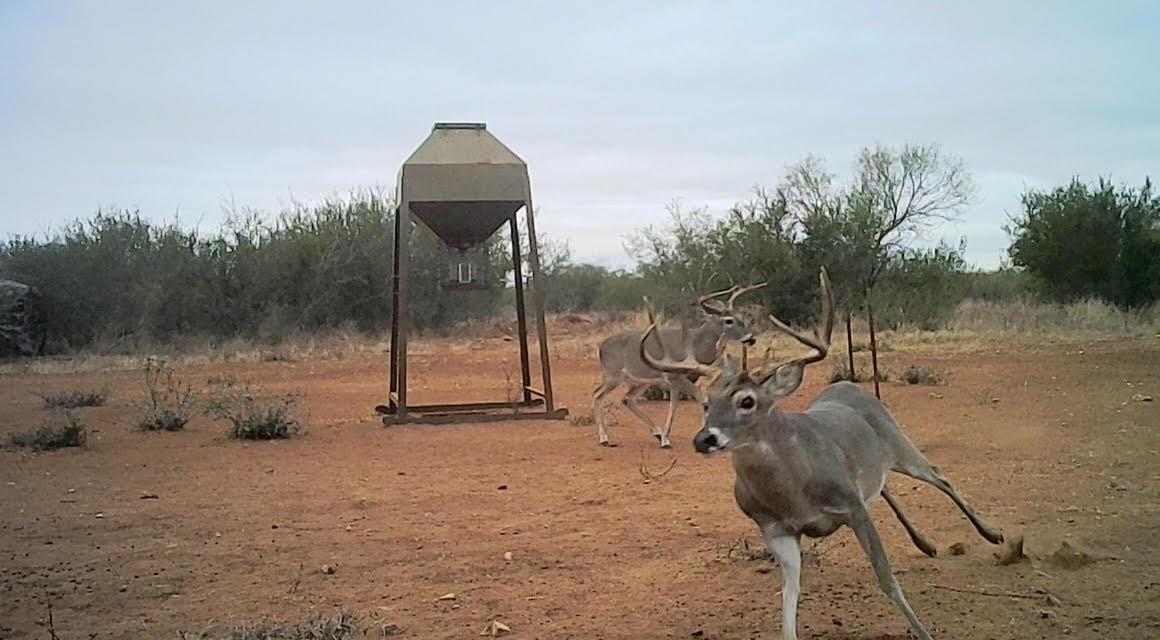 Image 29 of 37 For 0 I35-access Highway
