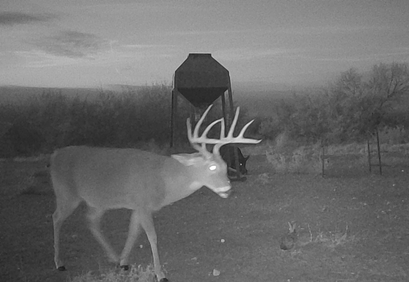 Image 30 of 37 For 0 I35-access Highway