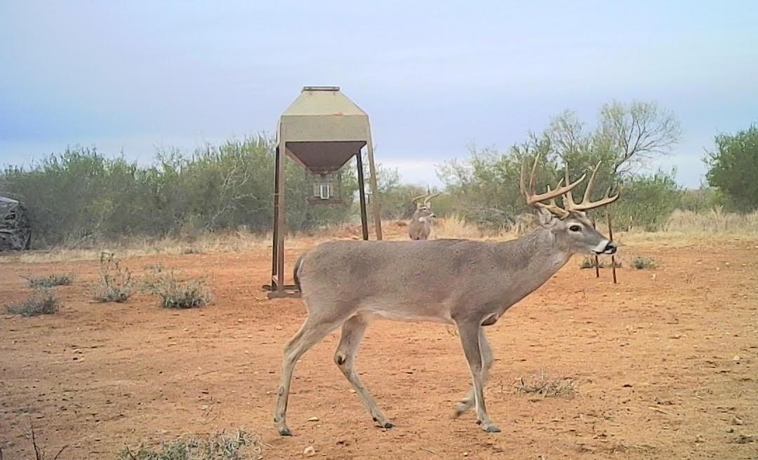 Image 31 of 37 For 0 I35-access Highway