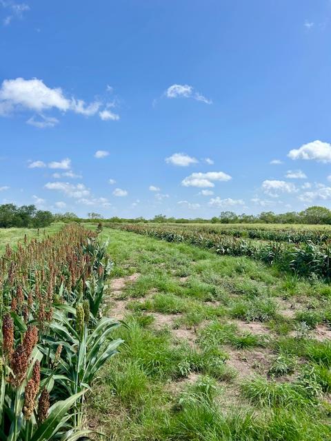 Image 35 of 37 For 0 I35-access Highway