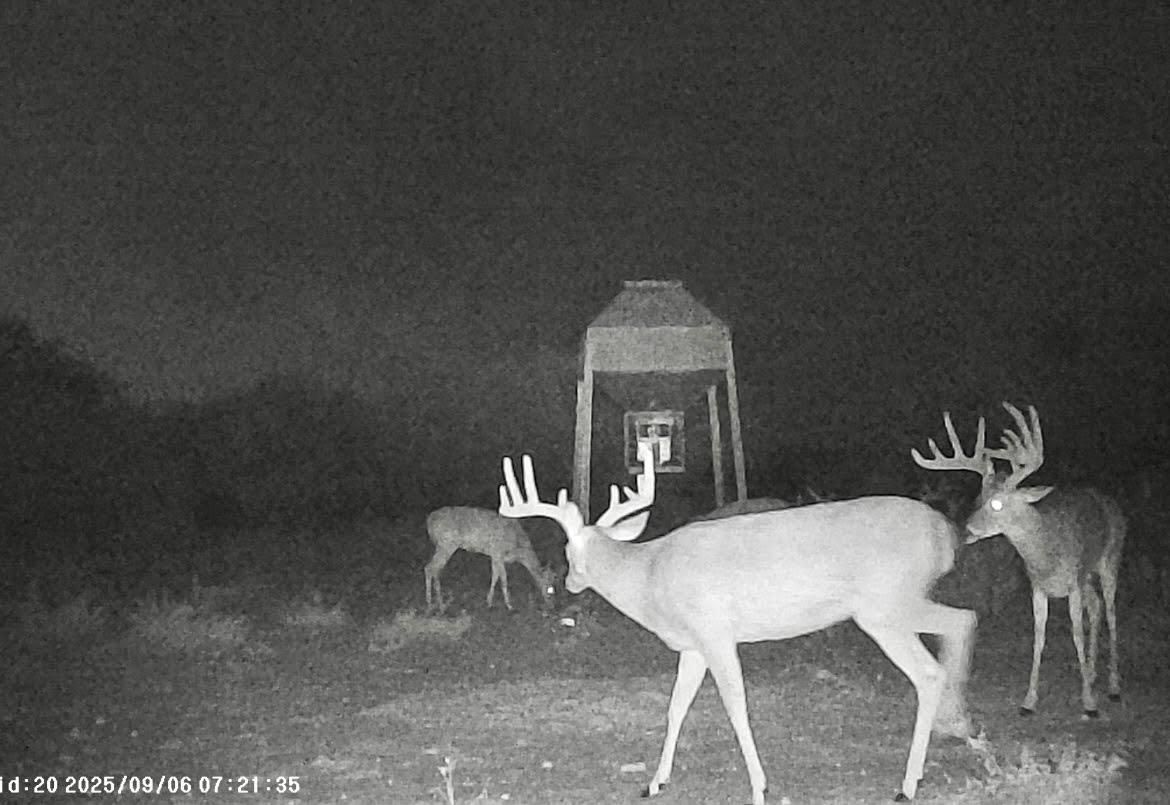 Image 36 of 37 For 0 I35-access Highway