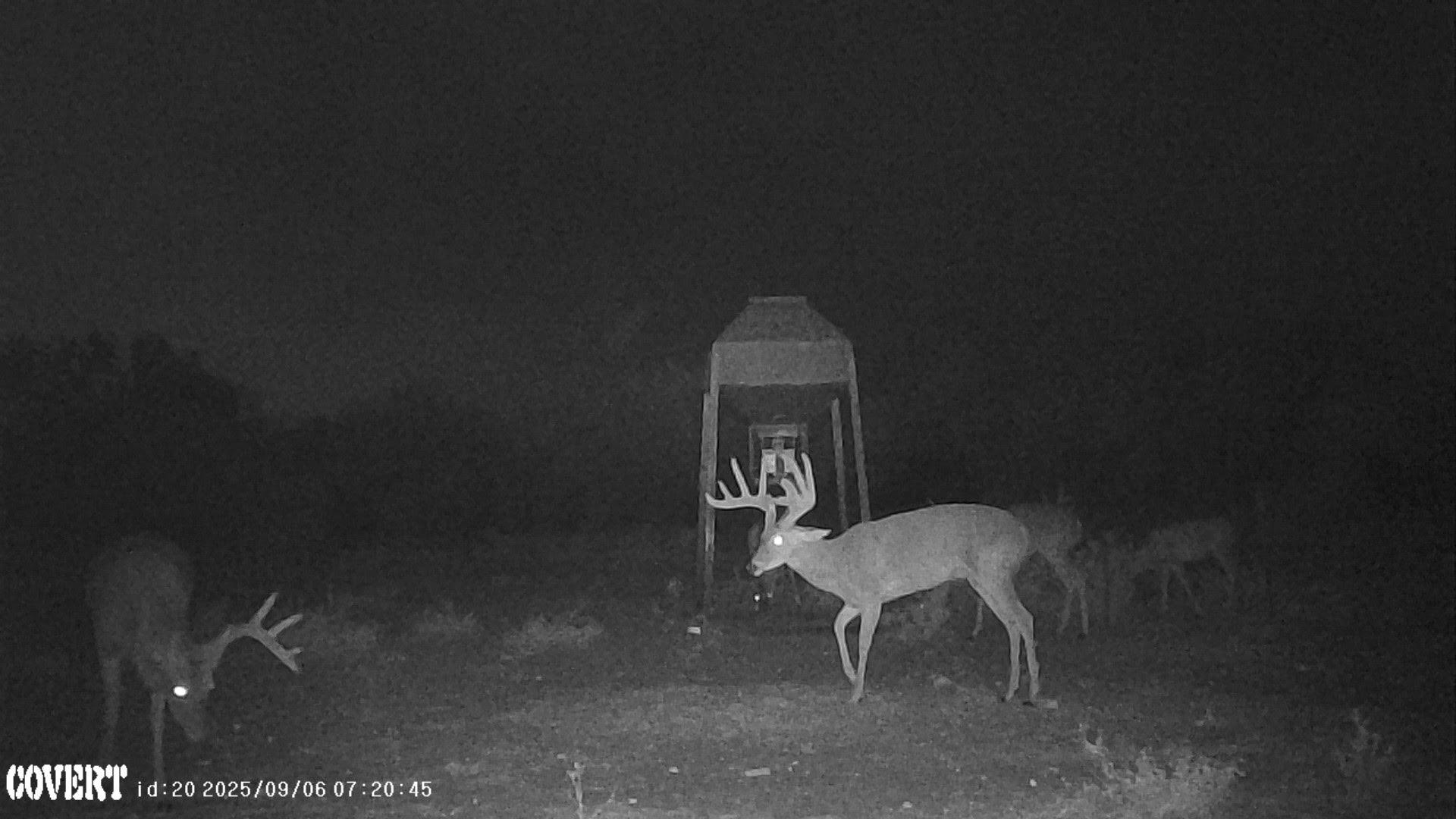 Image 37 of 37 For 0 I35-access Highway