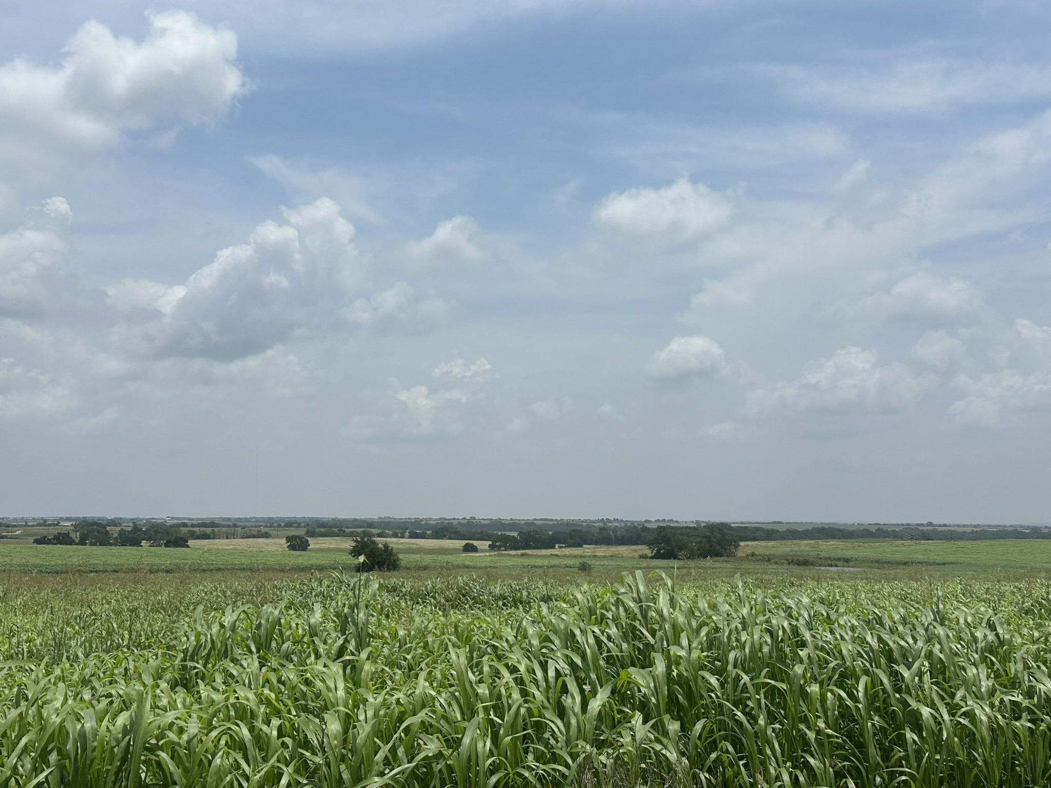 Details for 999999 Main St, Troy, TX 76579