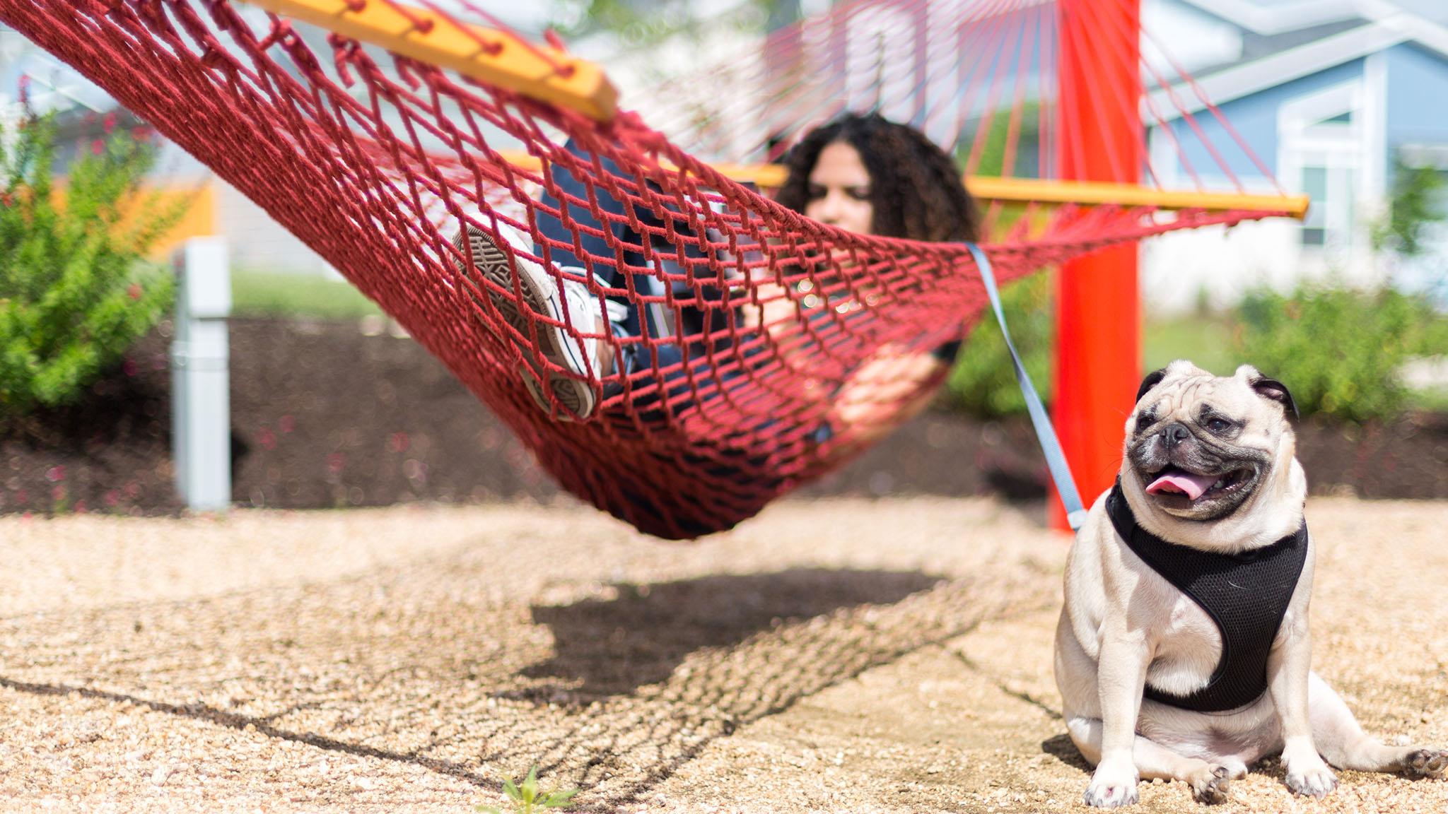 Image 9 of 11 For 9000 Fallkill Dr