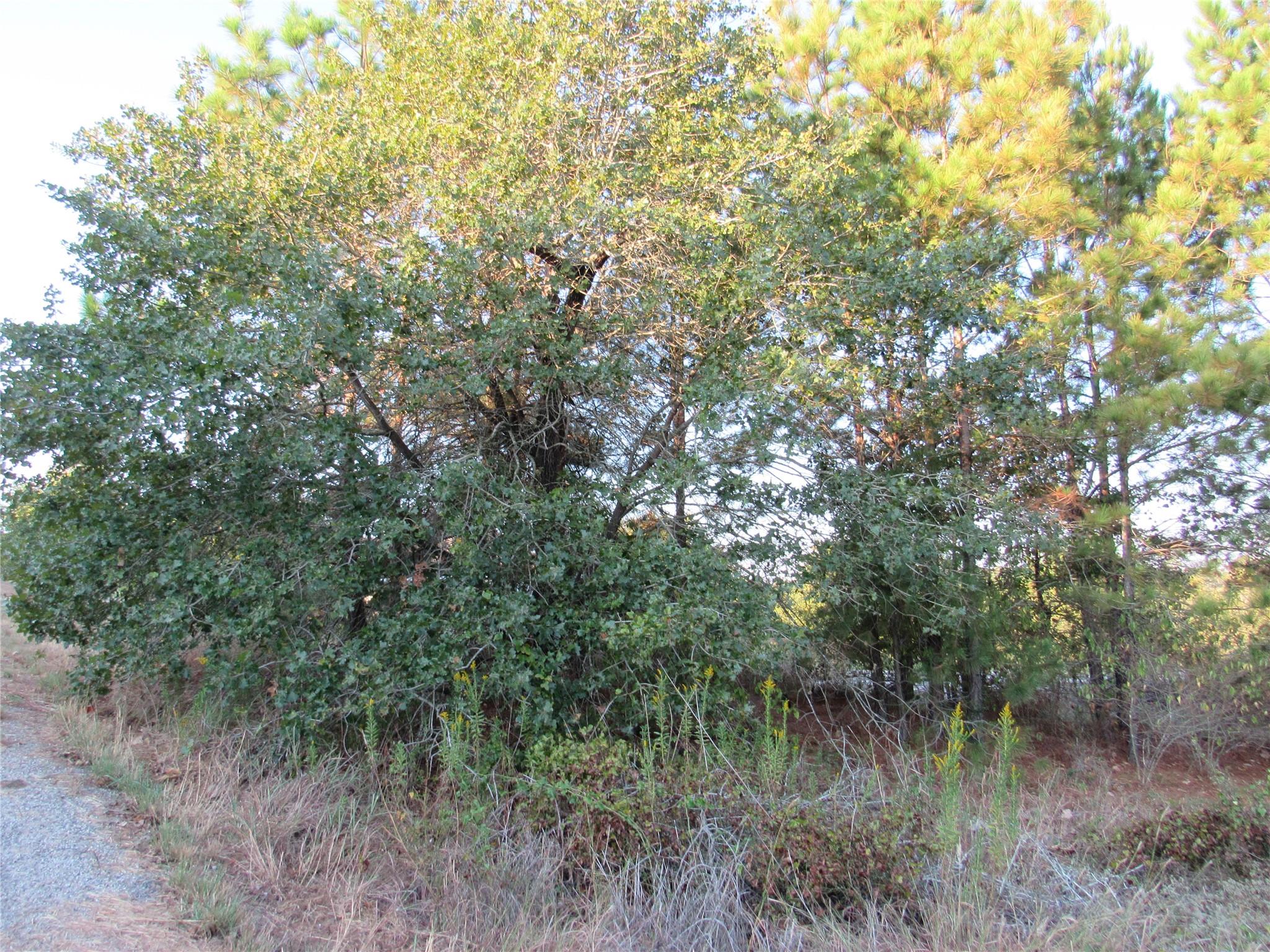 Details for 002 Kipahulu Ln, Bastrop, TX 78602