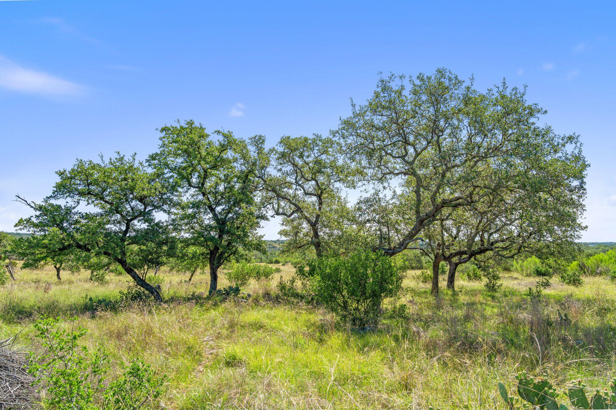 Image 23 of 37 For 620 Rio Vista Rd