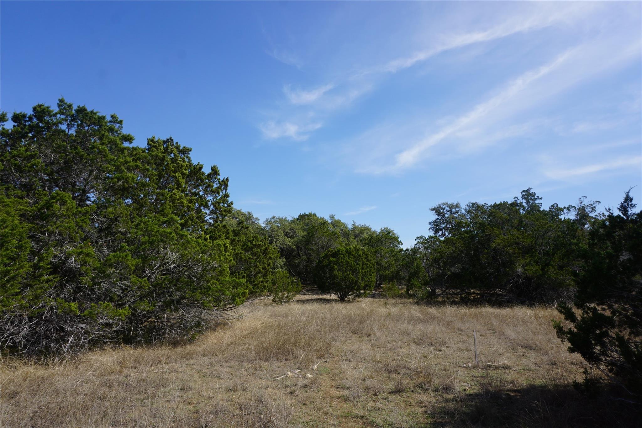 Image 10 of 21 For 569 Palomino Spgs