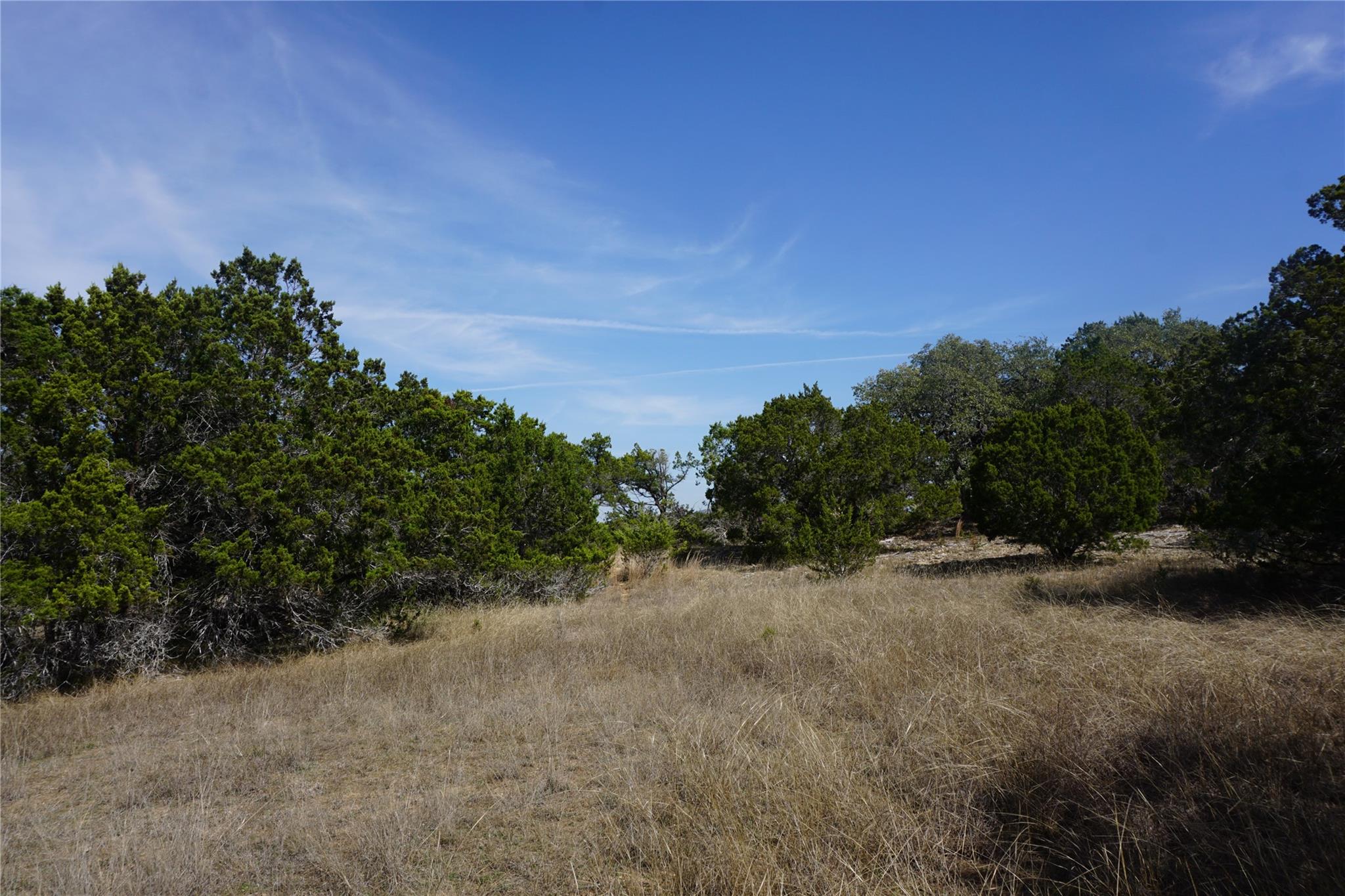 Image 11 of 21 For 569 Palomino Spgs