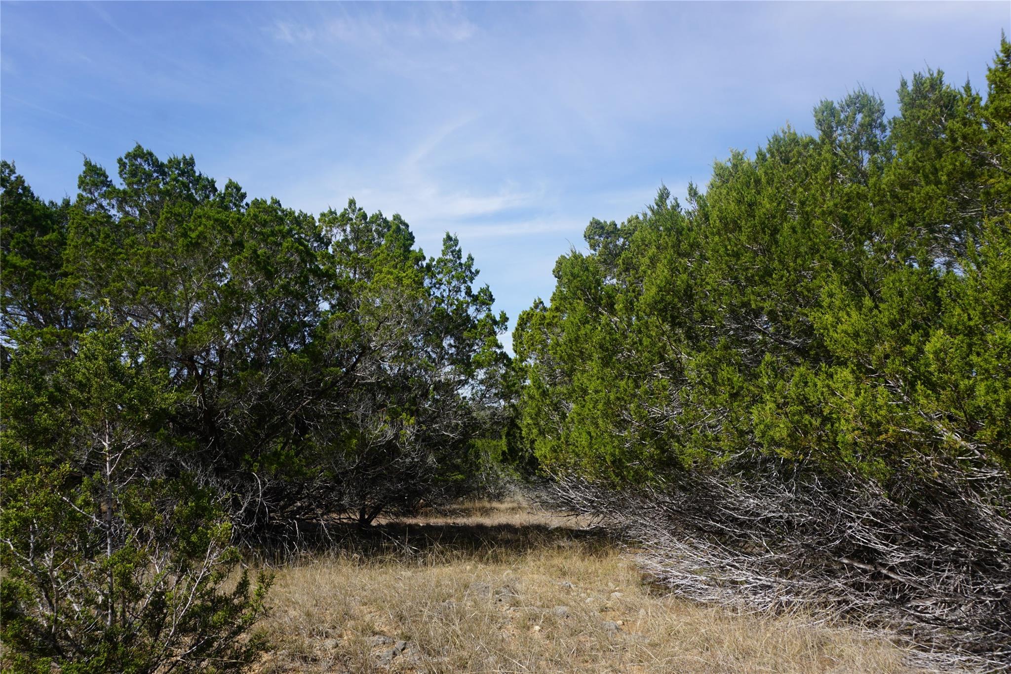 Image 12 of 21 For 569 Palomino Spgs