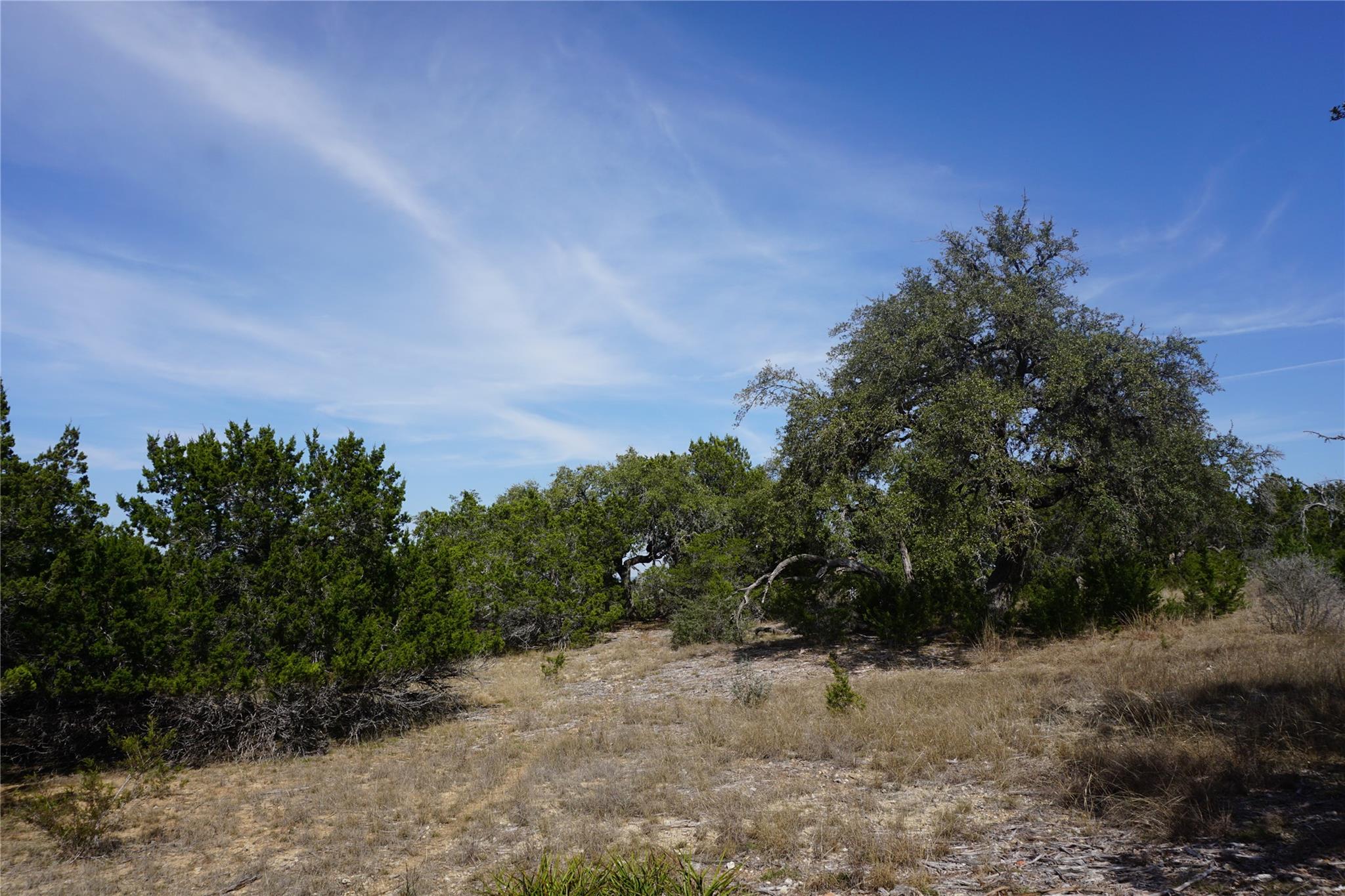 Image 13 of 21 For 569 Palomino Spgs