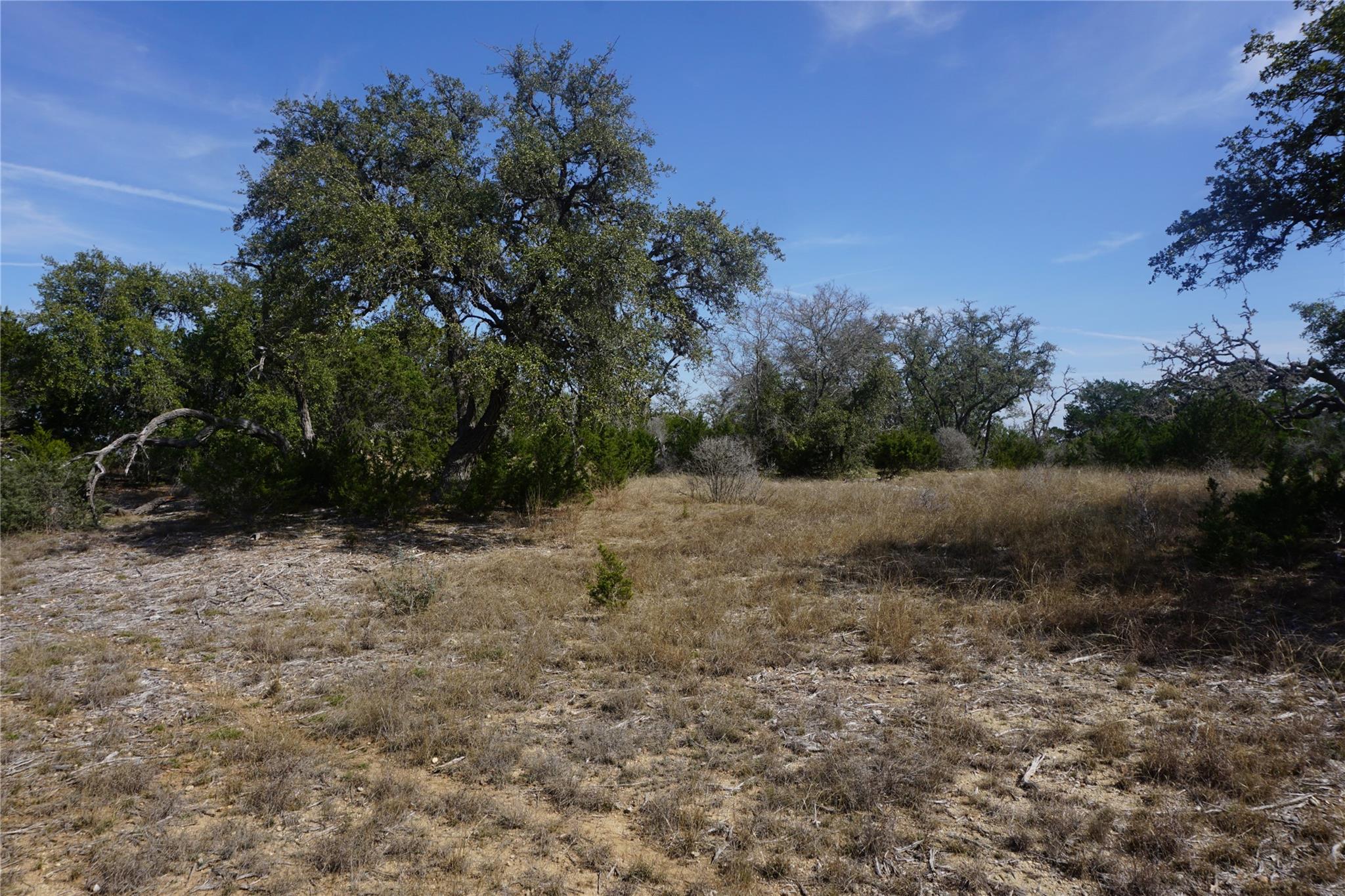 Image 14 of 21 For 569 Palomino Spgs