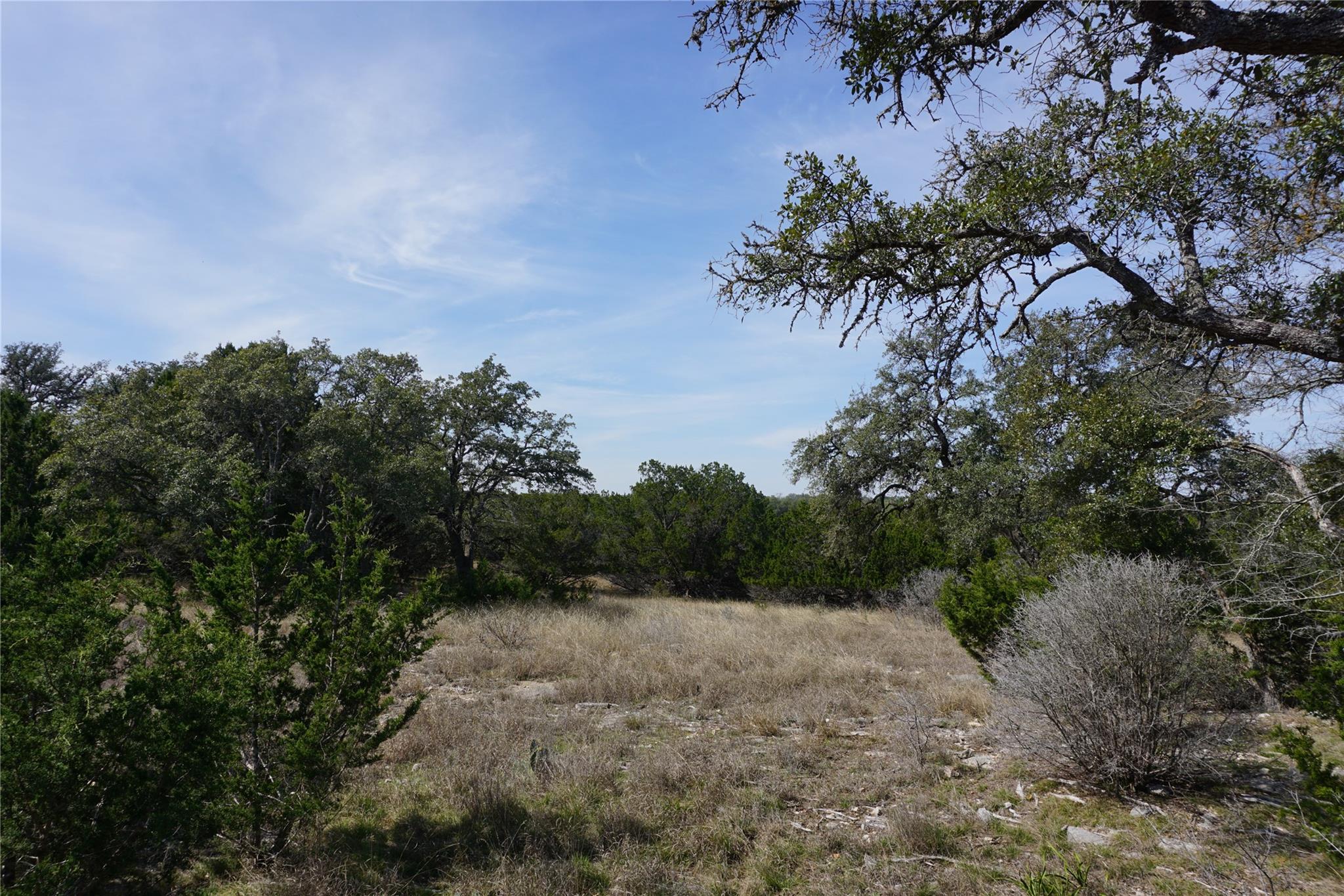 Image 15 of 21 For 569 Palomino Spgs