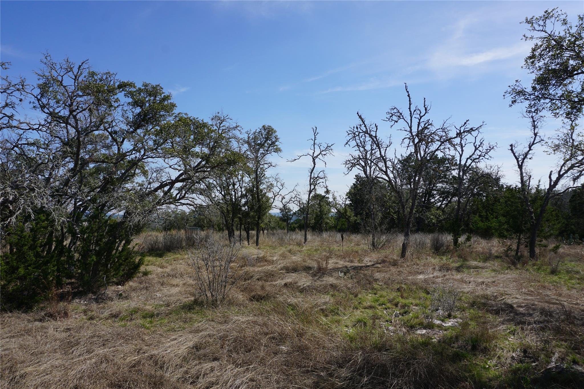 Image 17 of 21 For 569 Palomino Spgs