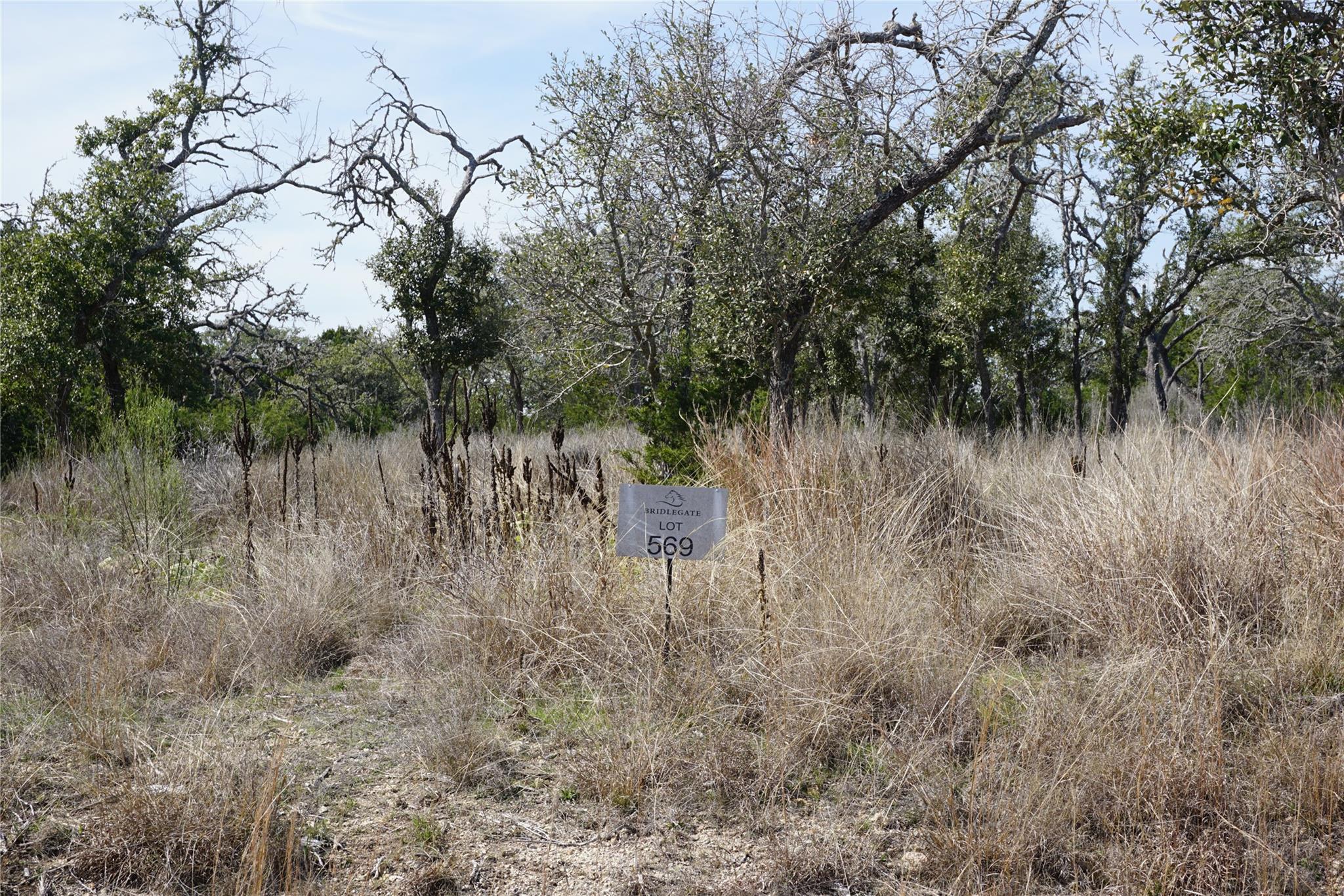 Image 3 of 21 For 569 Palomino Spgs