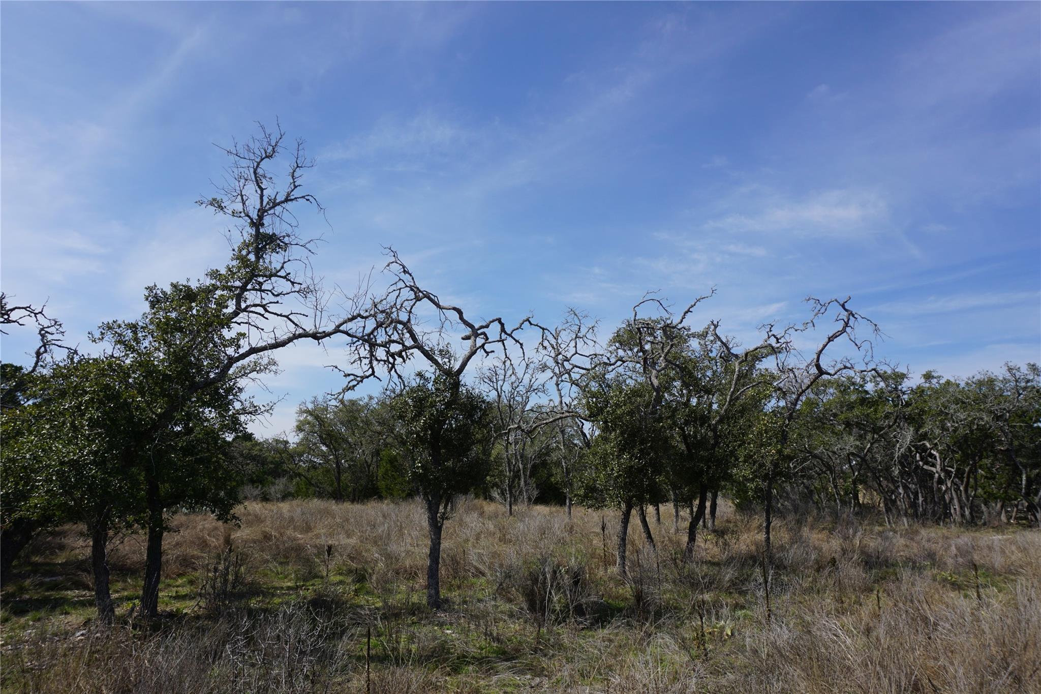 Image 4 of 21 For 569 Palomino Spgs