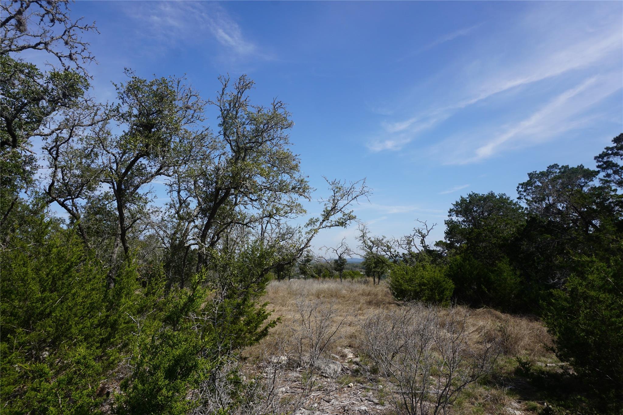 Image 6 of 21 For 569 Palomino Spgs