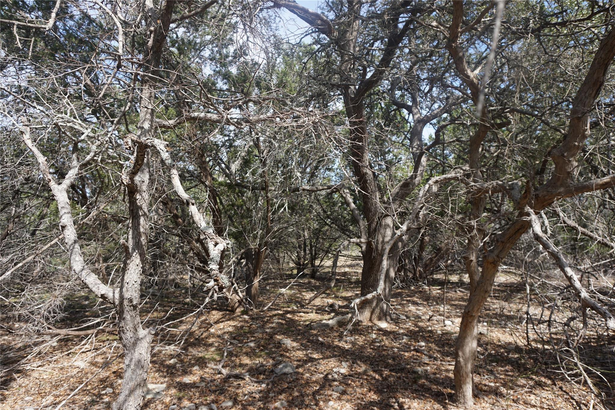 Image 7 of 21 For 569 Palomino Spgs