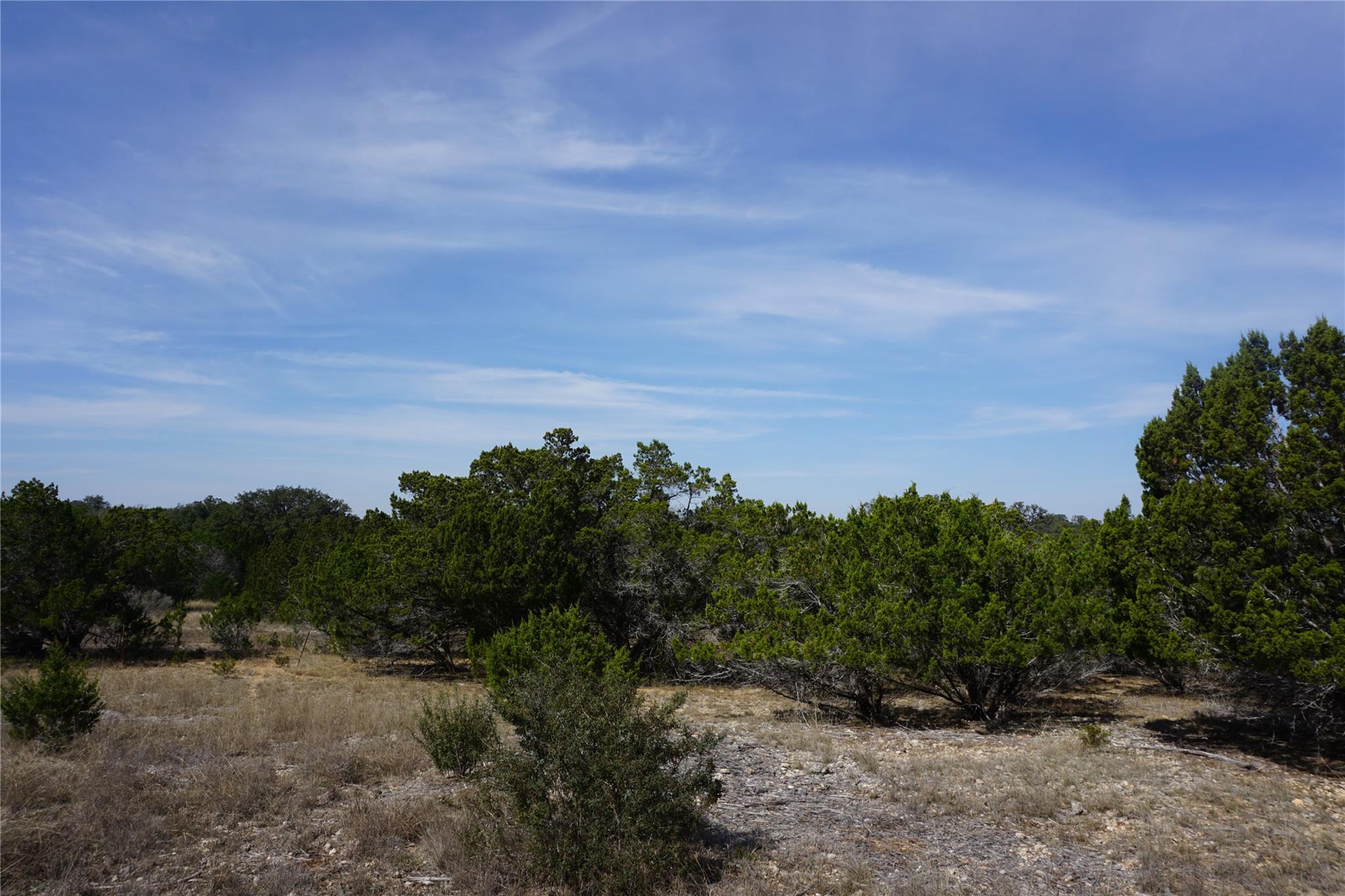 Image 8 of 21 For 569 Palomino Spgs