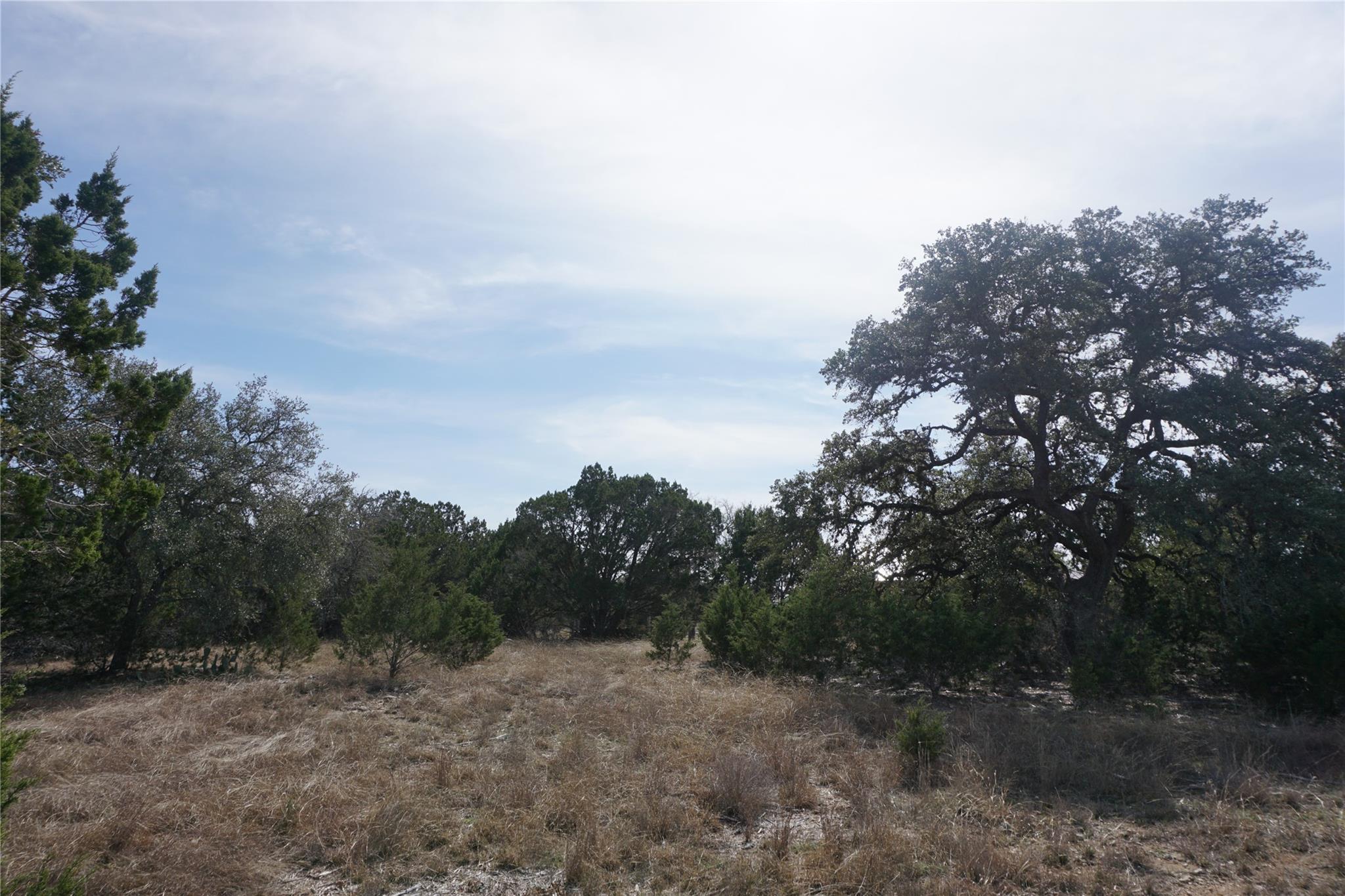 Image 9 of 21 For 569 Palomino Spgs