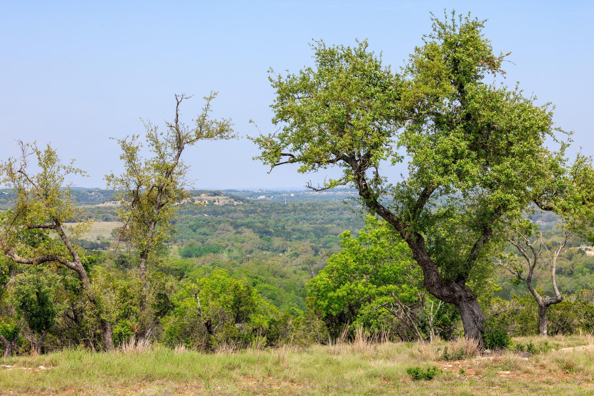 Details for Lot 195 N Flat Rock Way, Johnson City, TX 78636