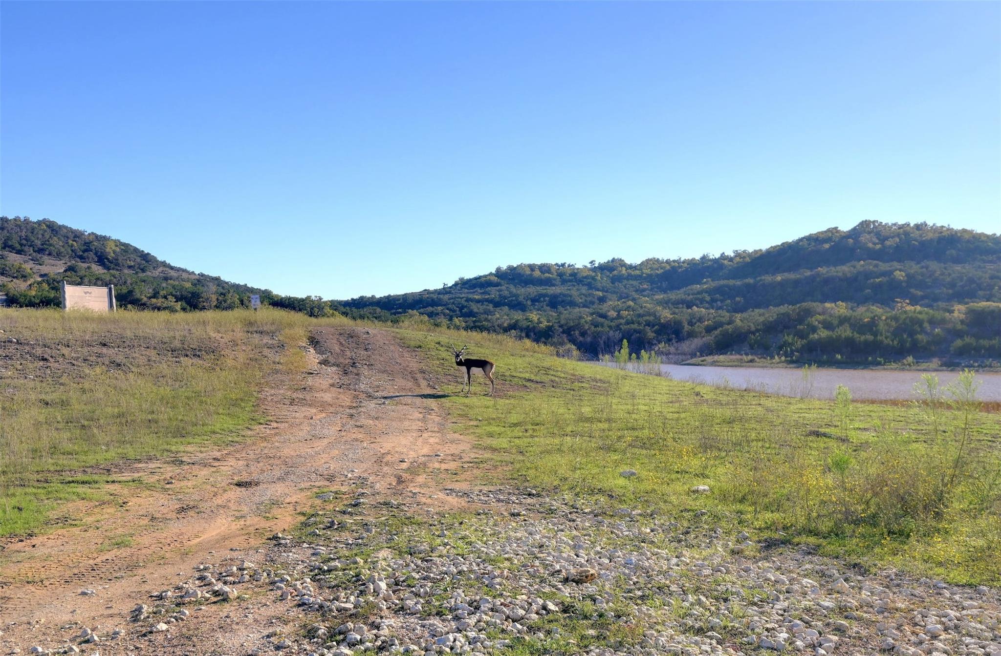 Image 12 of 27 For Lot108 Oryx Cv